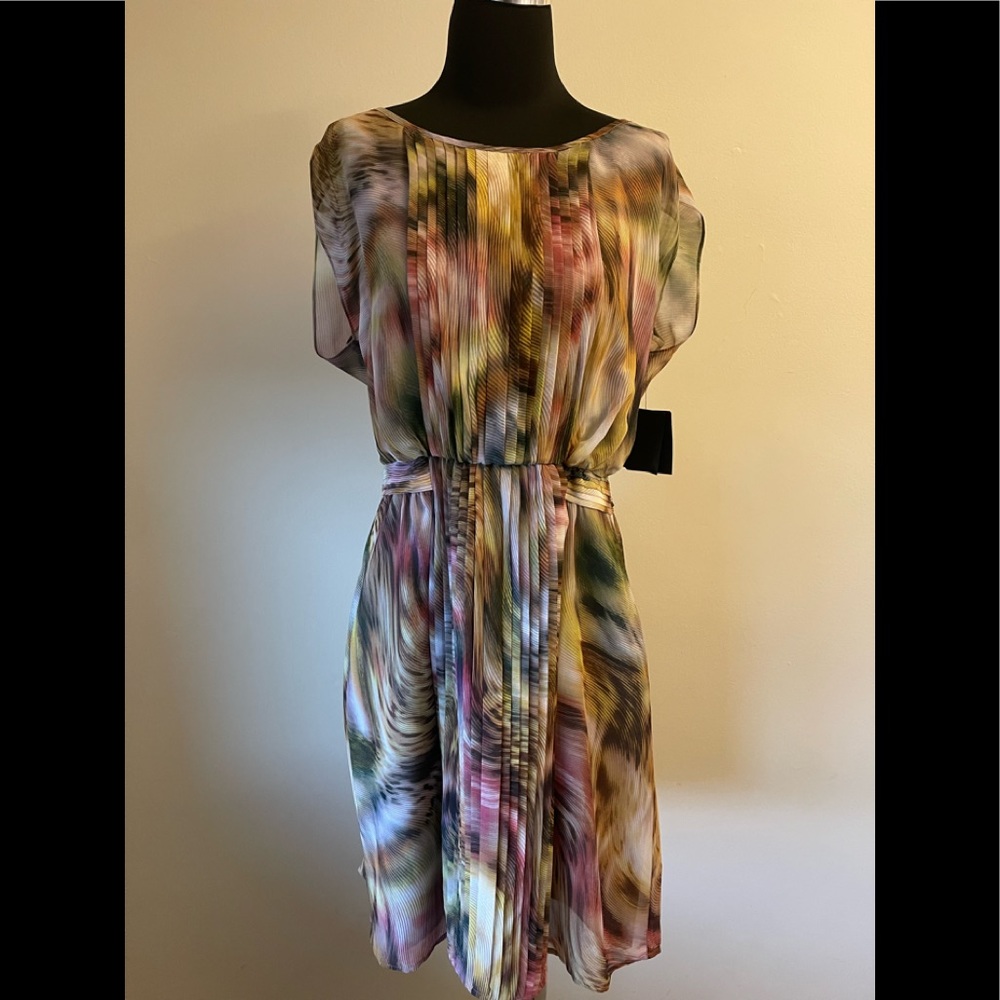 Ellen Tracy Dress